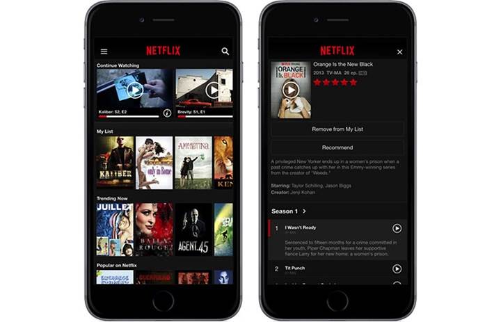 Netflix uygulama içi abonelik sistemini iOS üzerinden kaldırdı
