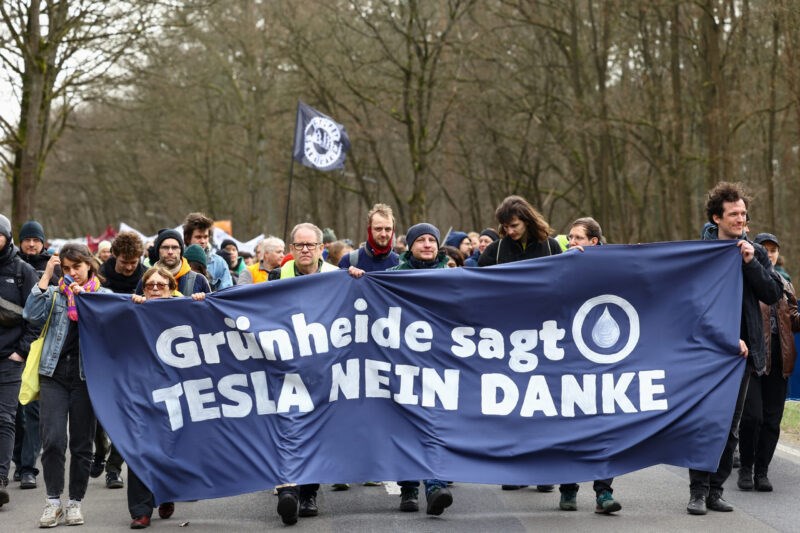 Berlin'deki Tesla fabrikasının inşası için 500.000 ağaç kesildi