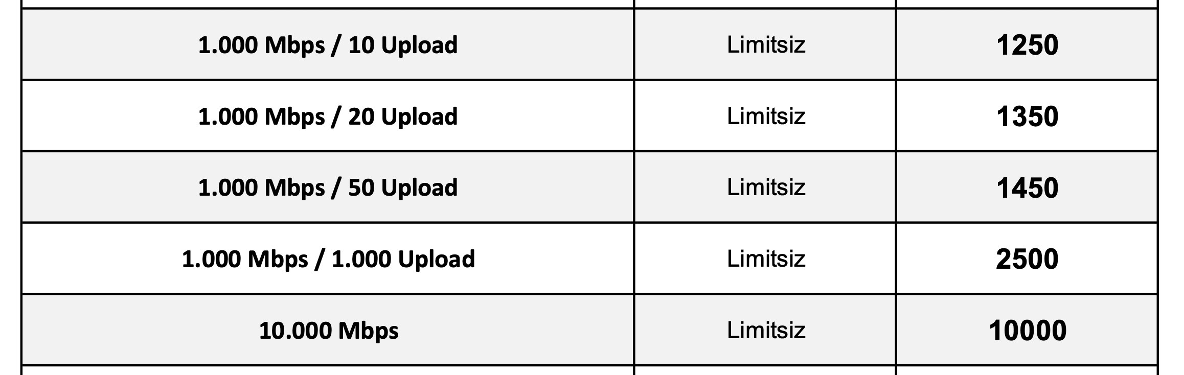 Turkcell Superonline 1.000 Mbps simetrik fiber internet sunuyor