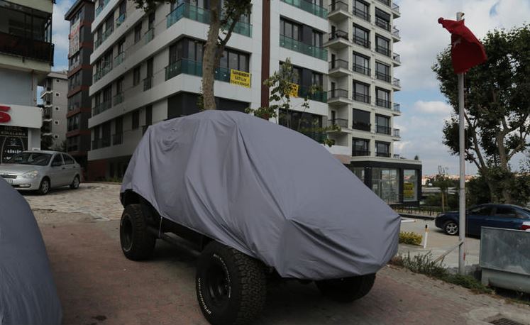 Kekik. Terapötik özellikler ve kontrendikasyonlar Kekik. Terapötik özellikler ve kontrendikasyonlar